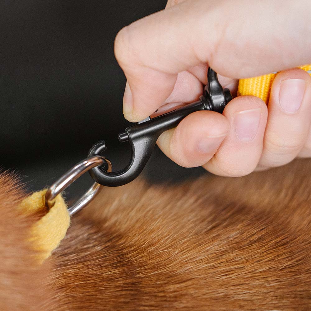 Dog Seat Belt with Adjustable Safety Strap