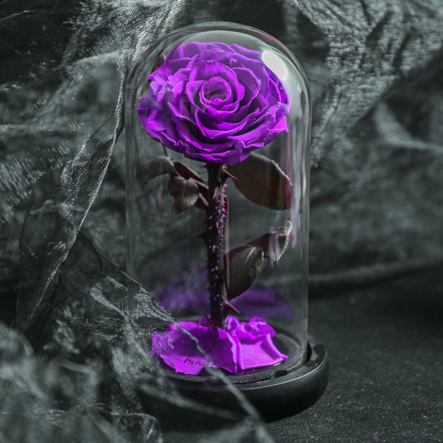 Preserved Rose Glass Dome Romantic Gift Decor
