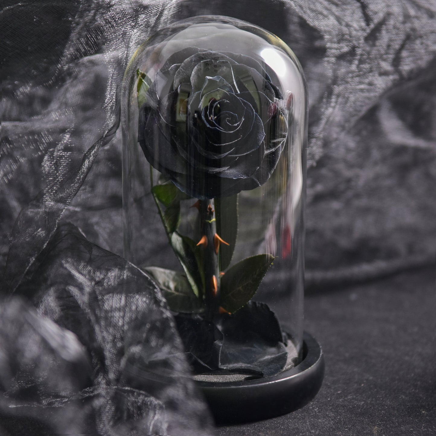 Preserved Rose Glass Dome Romantic Gift Decor
