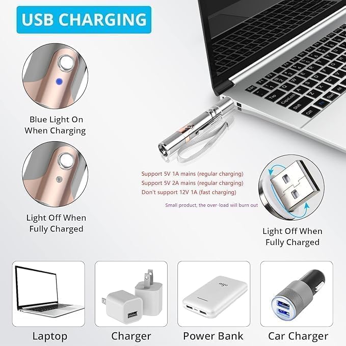 Cat Toy Rechargeable Stainless Steel Laser Light