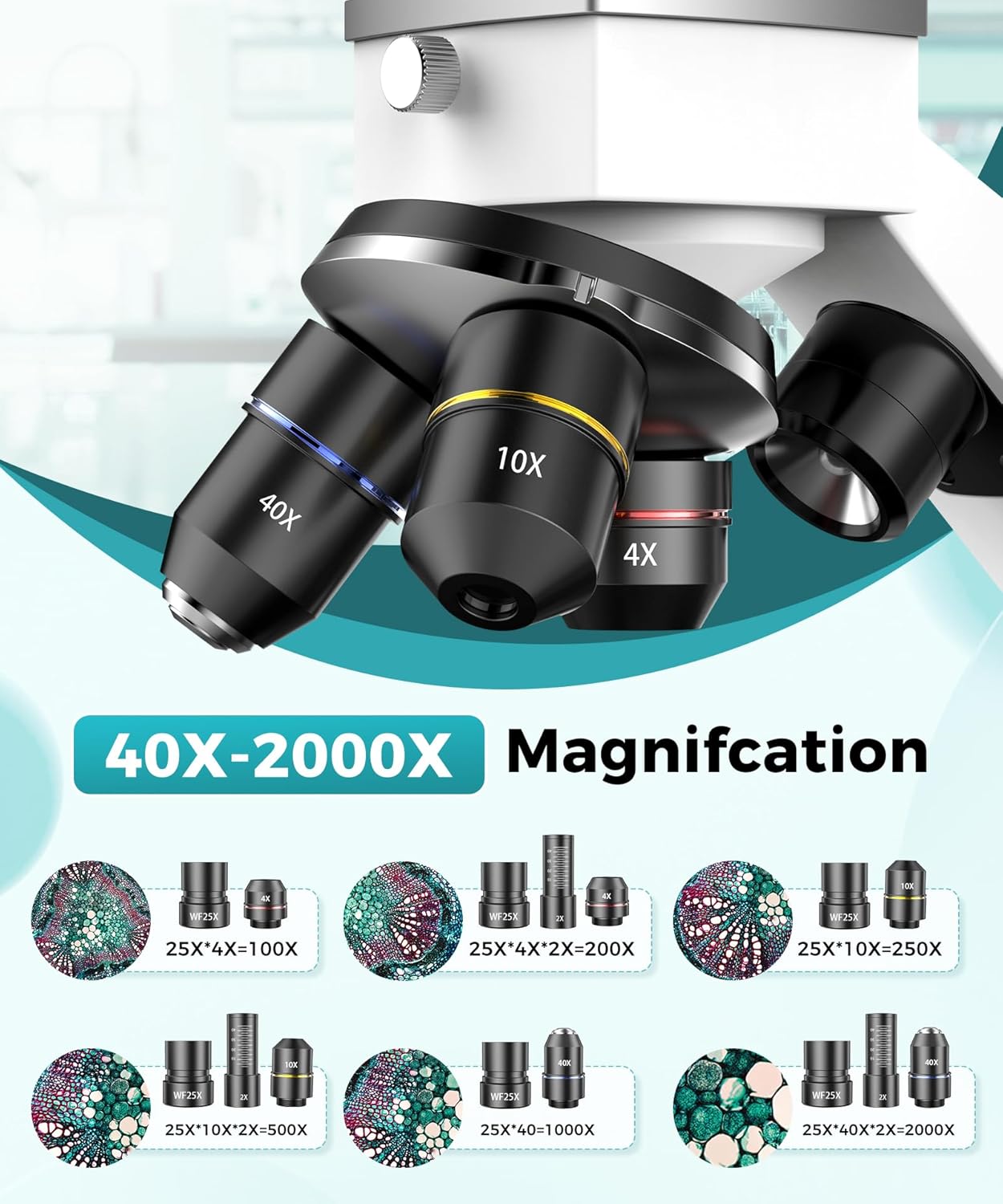 Microscope Kit with Slides and Phone Adapter