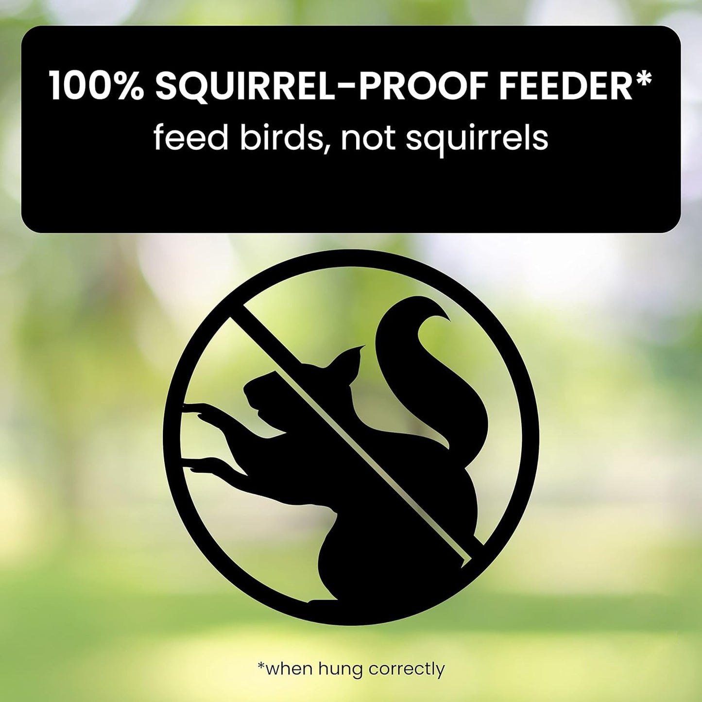 Bird Feeder Hanging Metal Squirrel Proof Tube