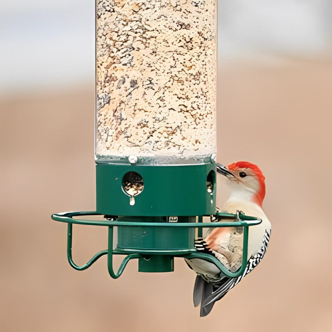 Bird Feeder Hanging Metal Squirrel Proof Tube