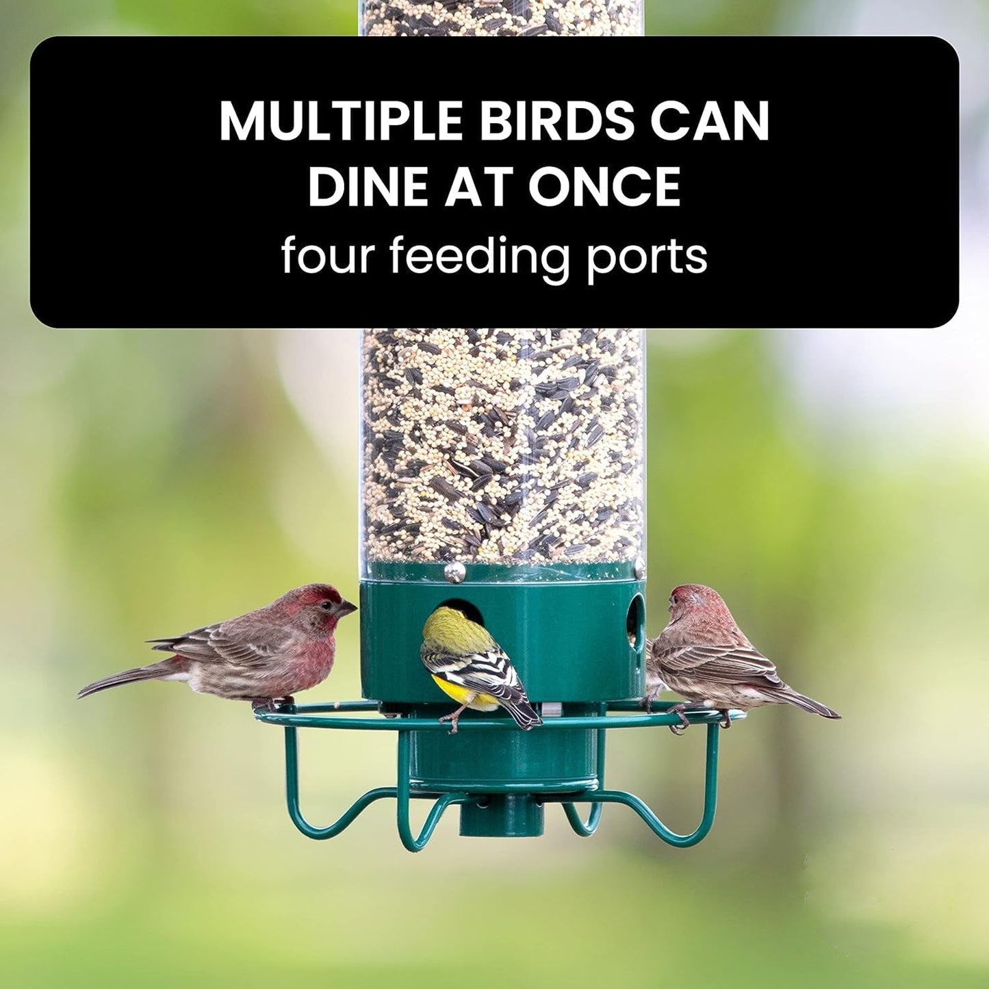 Bird Feeder Hanging Metal Squirrel Proof Tube