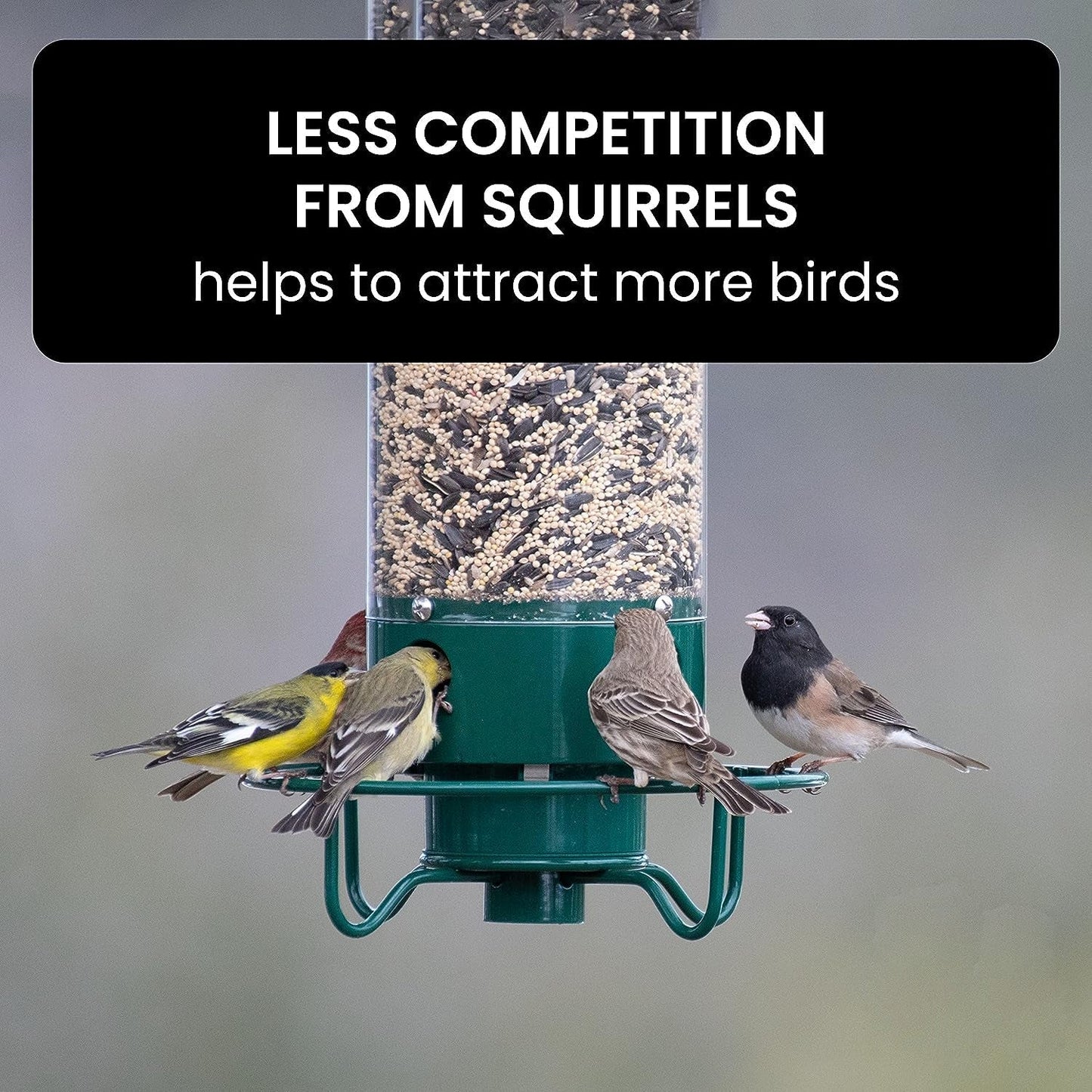 Bird Feeder Hanging Metal Squirrel Proof Tube