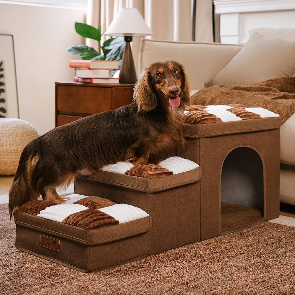 Dog Stairs with Storage for Sofa Access