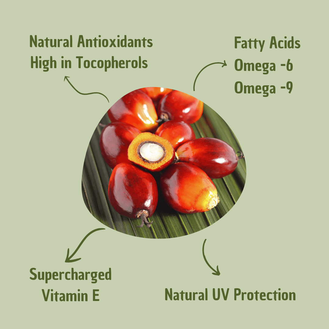 Batana Hair Oil – Quick Hydration & Strength Without the Greasy Feel | Perfect for Busy Professionals & Travelers