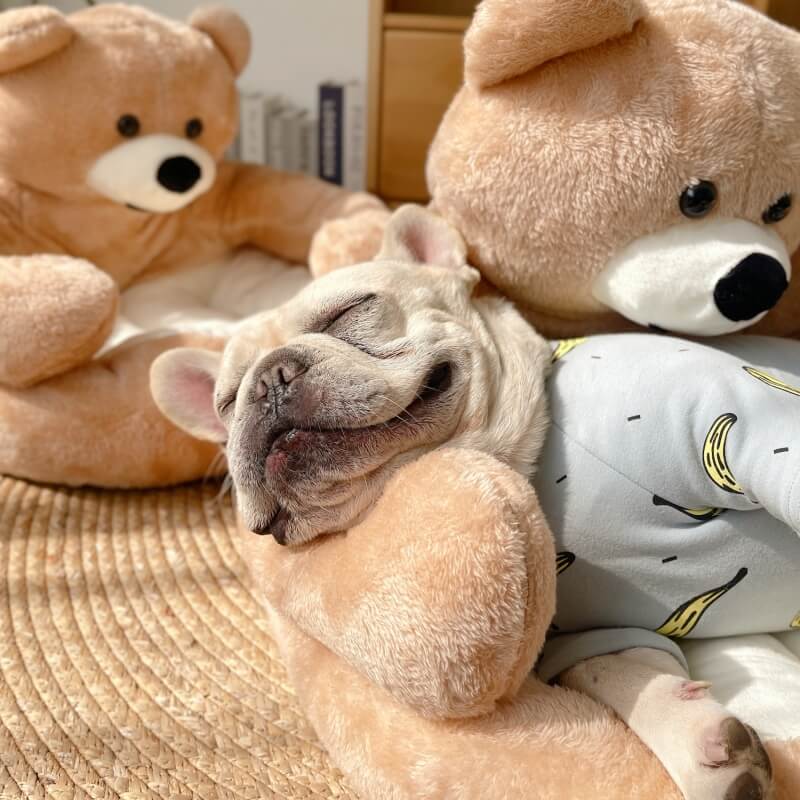 Pet Bed Plush Bear Cuddle-Style Nest