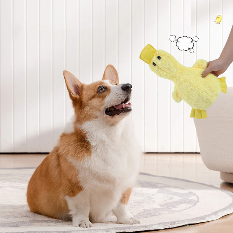 Dog Chew Toy Plush Duck with Squeaker