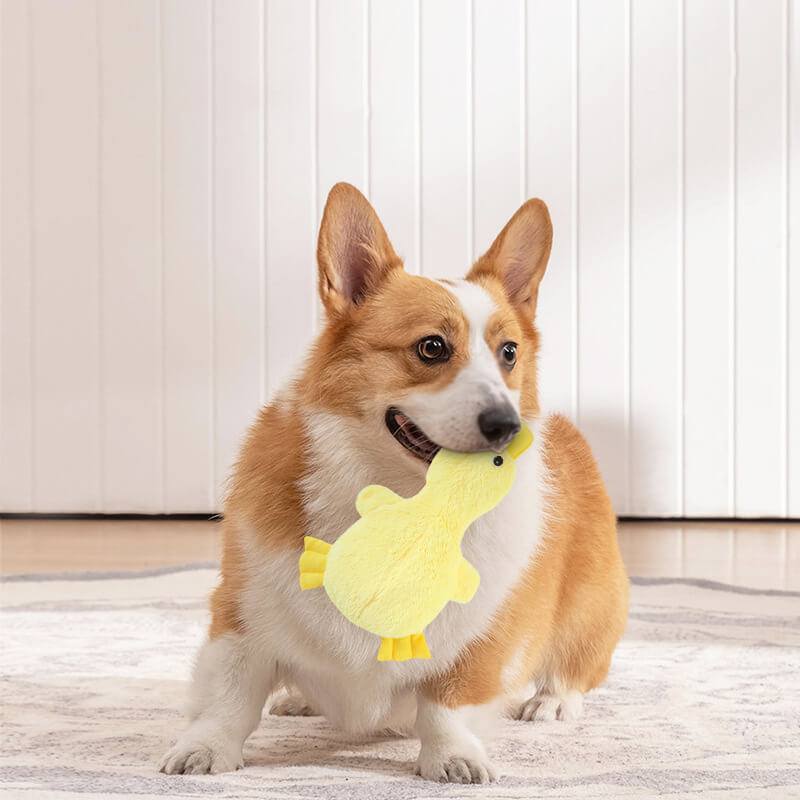 Dog Chew Toy Plush Duck with Squeaker