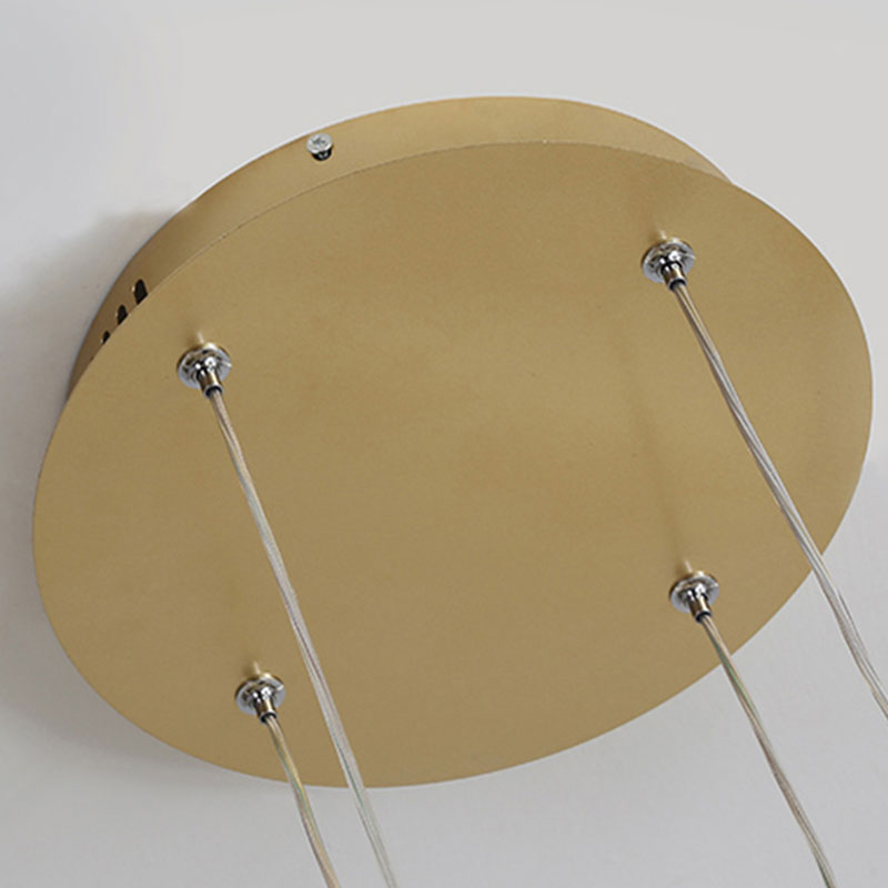 Ceiling Light | Modern Dimmable Ring Hanging Fixture