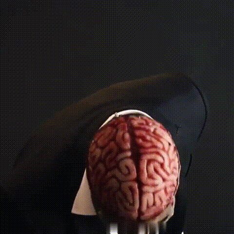 Halloween Skull Mask with Brain Detail