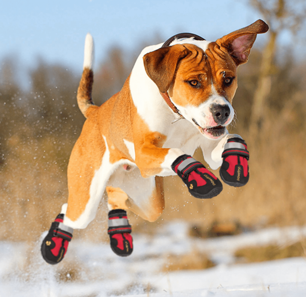 Dog Boots Waterproof Non Slip Reflective Set