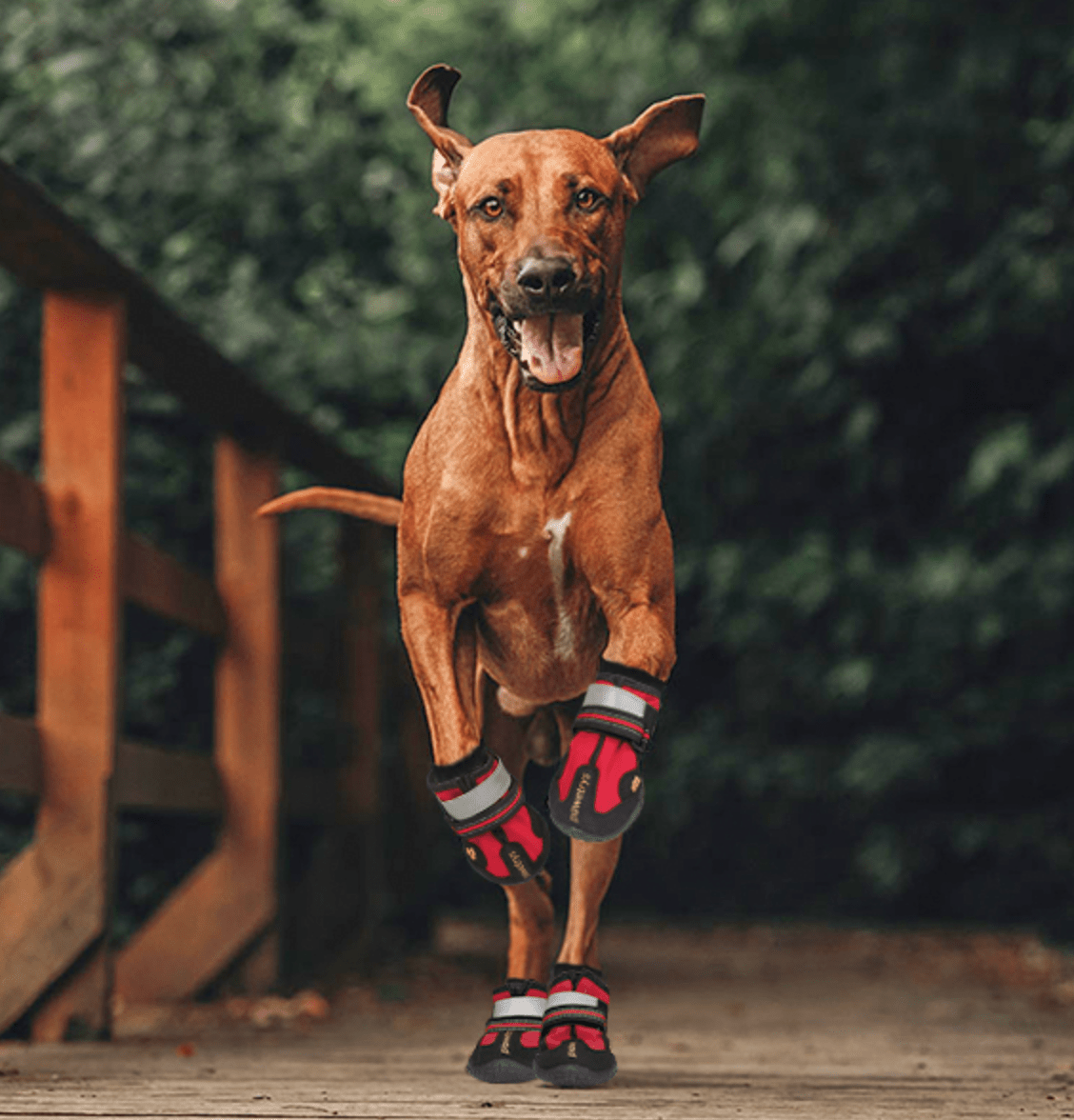 Dog Boots Waterproof Non Slip Reflective Set