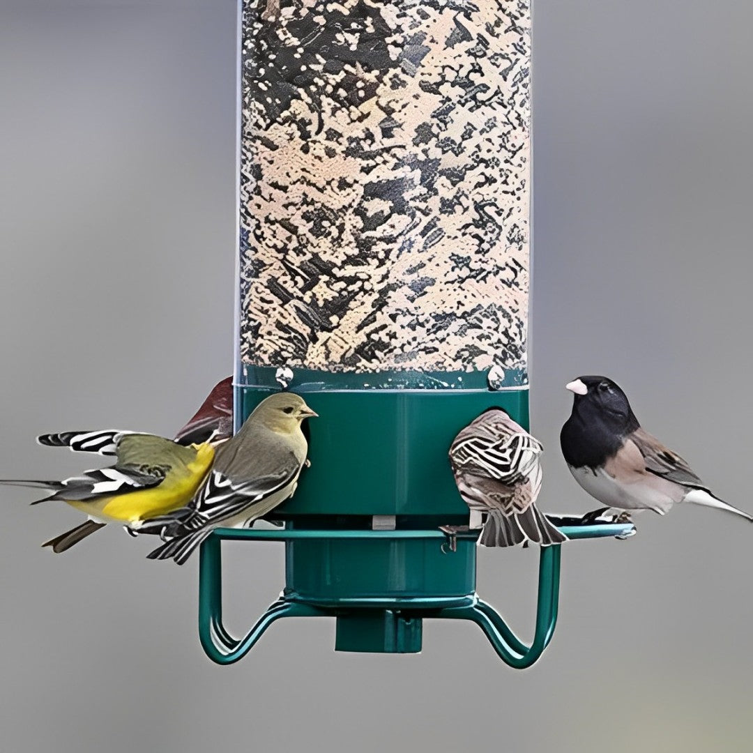 Bird Feeder Hanging Metal Squirrel Proof Tube