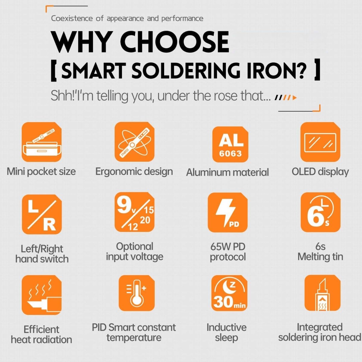 Raysdex RD01 Smart Digital Soldering Iron Kit