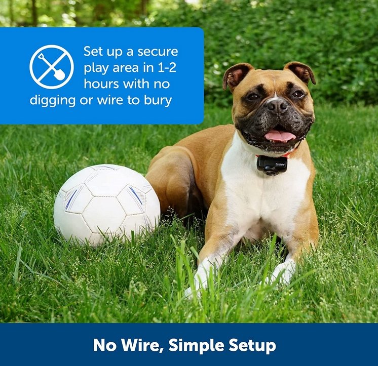 Dog fence wireless waterproof training collar system