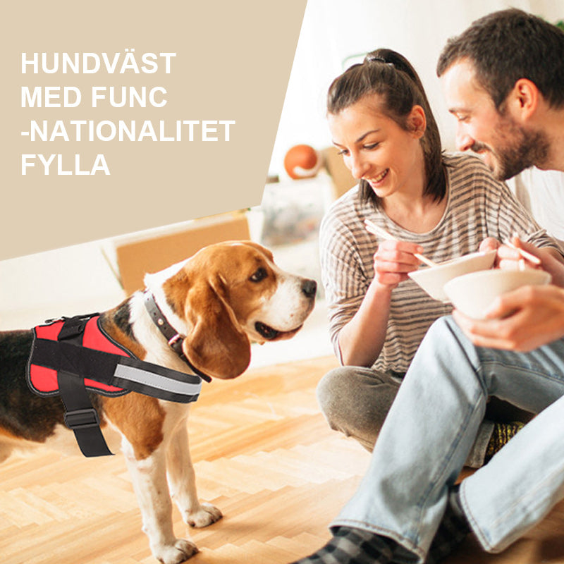 Hundsele