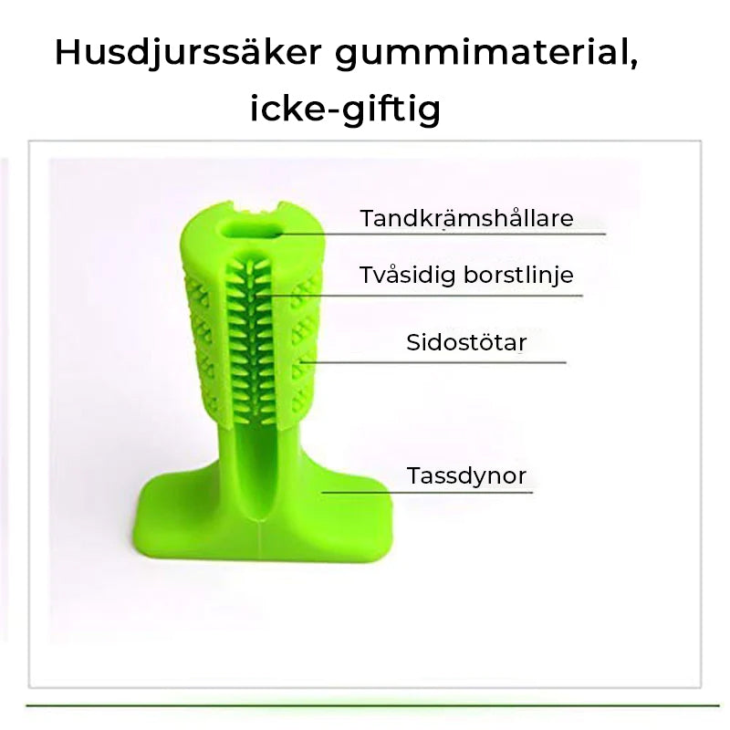 Hundtandborste för husdjur