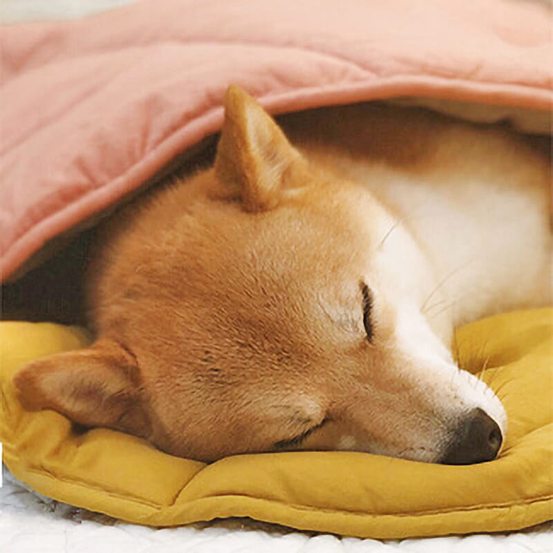 Dog Blanket Mat for Large Pets