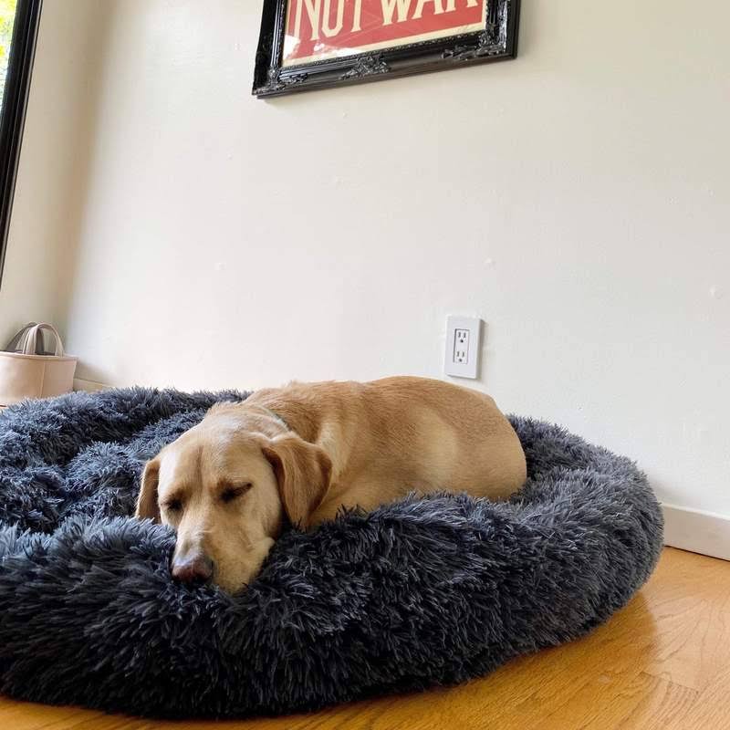 Dog Bed Orthopaedic Plush Round Calming Nest