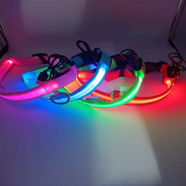 LED Hundhalsband