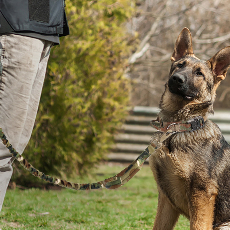 Hundhalsband med handtag