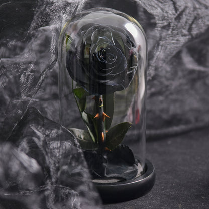 Preserved Rose Glass Dome Romantic Gift Decor