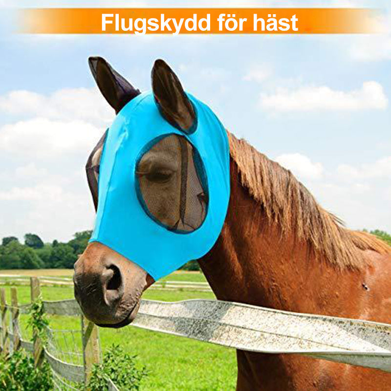 Flugskydd för Häst