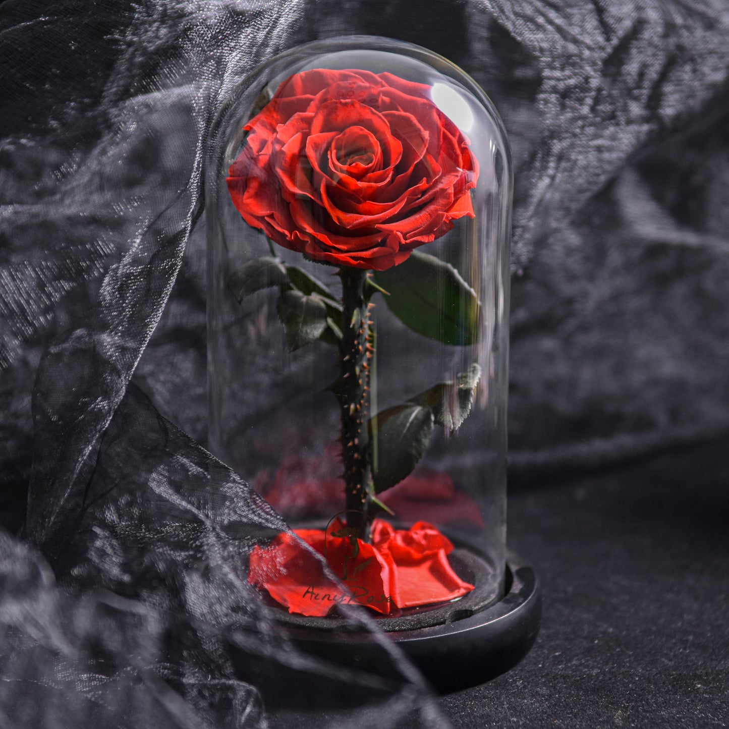 Preserved Rose Glass Dome Romantic Gift Decor