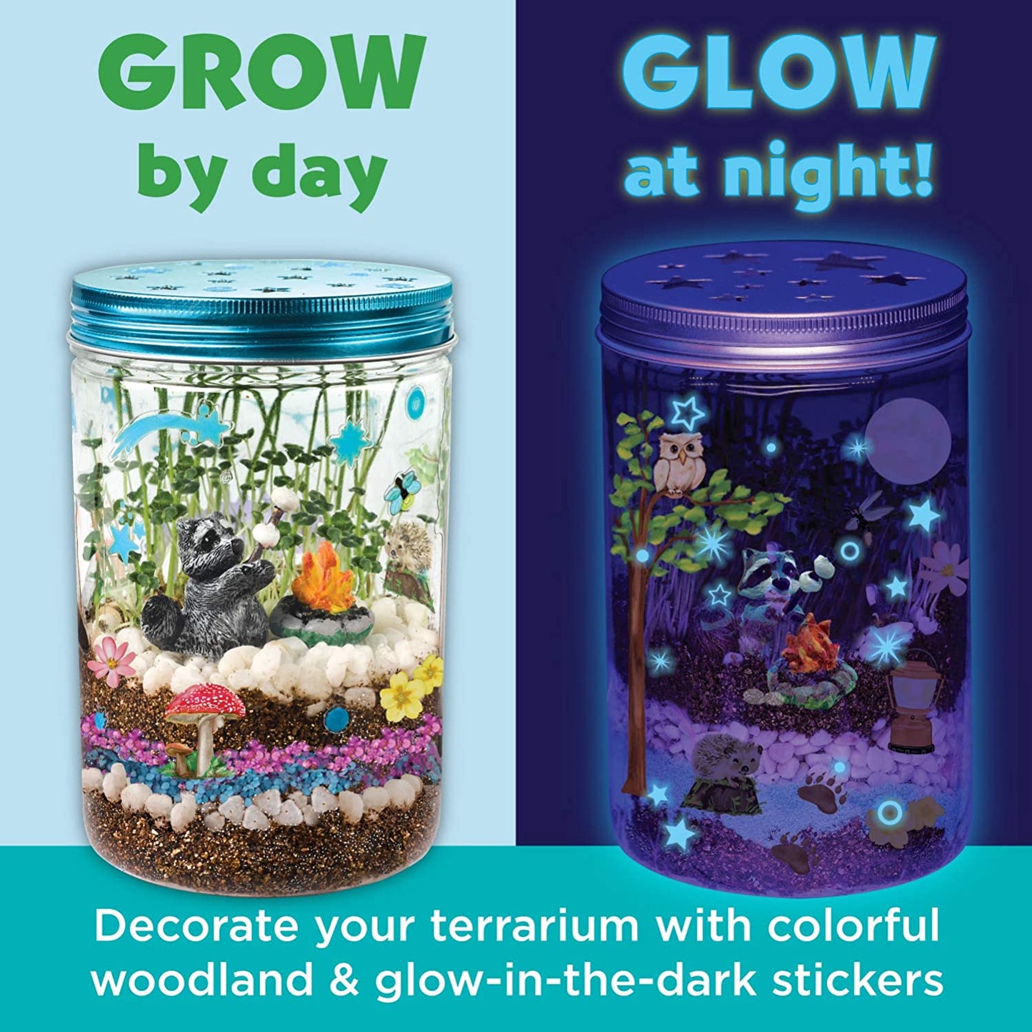 Plant Growing Kit Colourful Terrarium Set