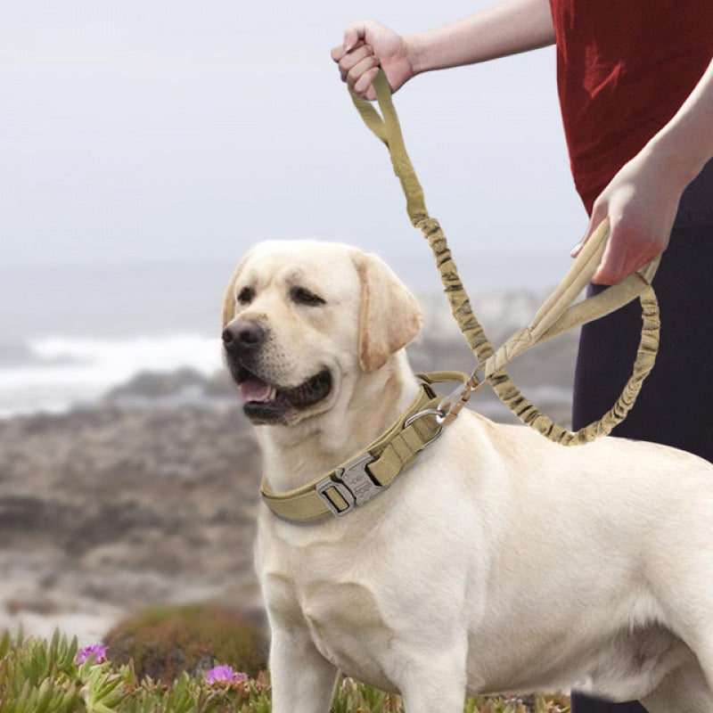 Hundhalsband med handtag