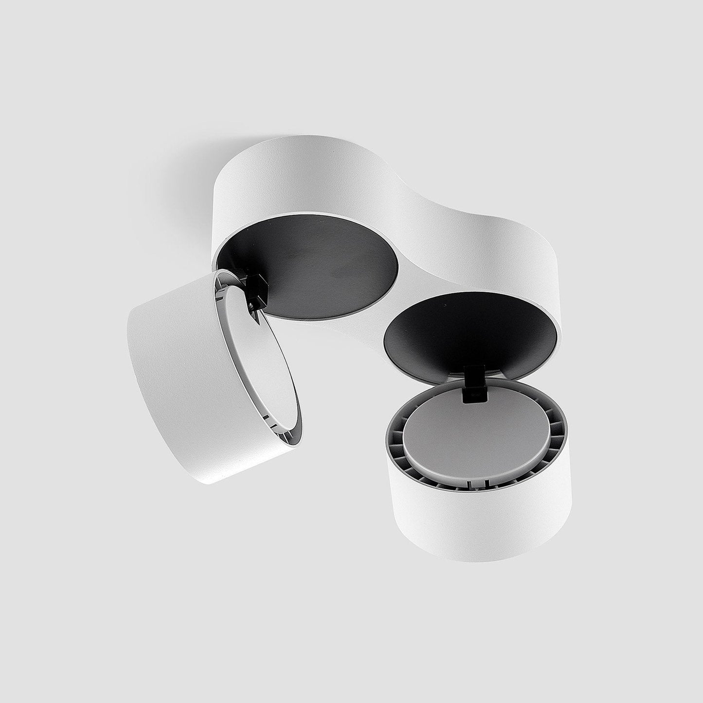Ceiling Light with Dual Adjustable Spotlights