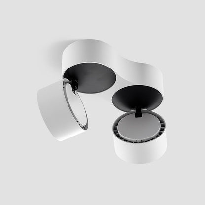 Ceiling Light with Dual Adjustable Spotlights