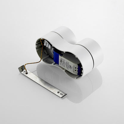 Ceiling Light with Dual Adjustable Spotlights