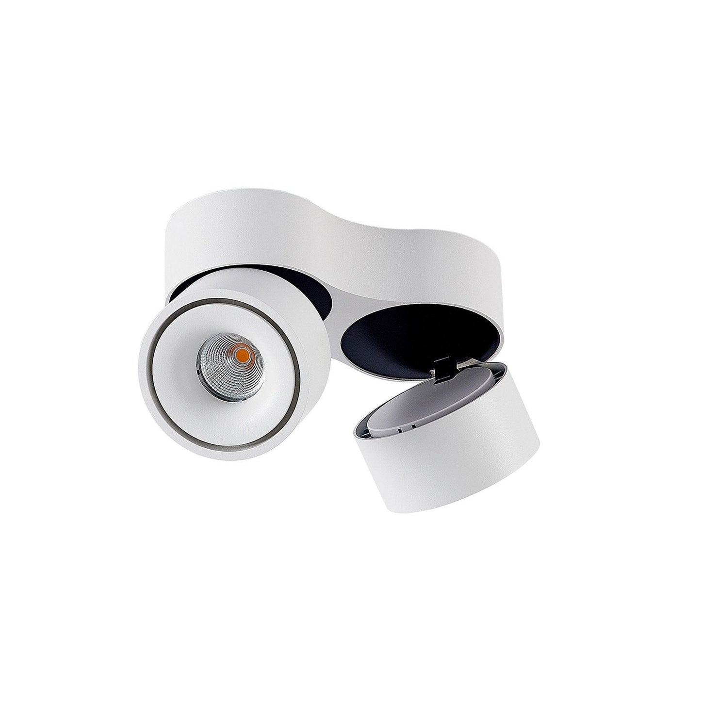 Ceiling Light with Dual Adjustable Spotlights