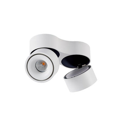 Ceiling Light with Dual Adjustable Spotlights