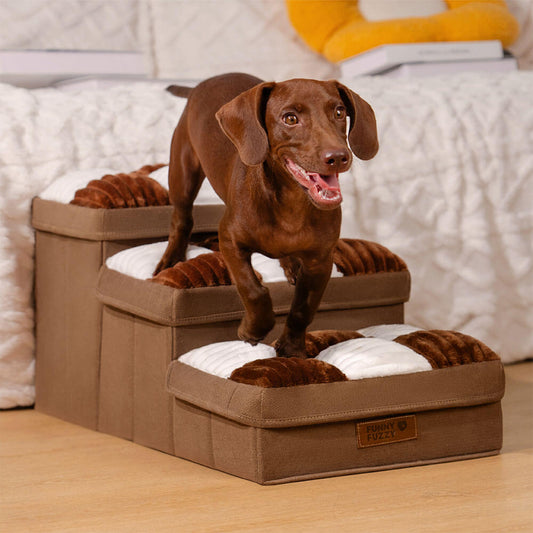 Dog Stairs with Storage for Sofa Access