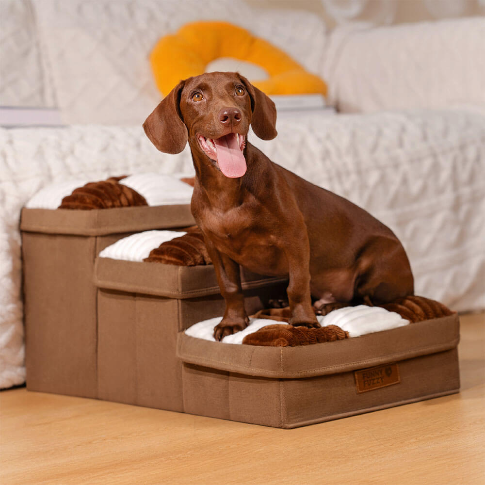 Dog Stairs with Storage for Sofa Access
