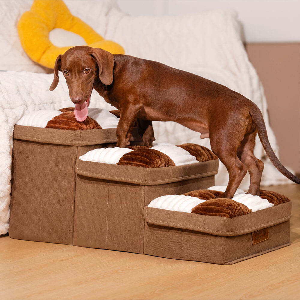 Dog Stairs with Storage for Sofa Access