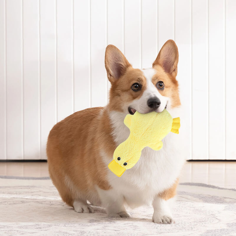 Dog Chew Toy Plush Duck with Squeaker