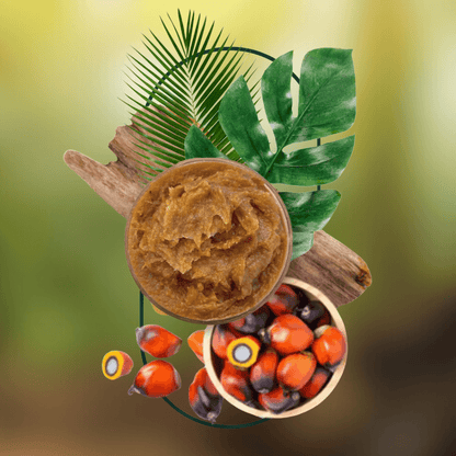 Batana Hair Oil – Quick Hydration & Strength Without the Greasy Feel | Perfect for Busy Professionals & Travelers