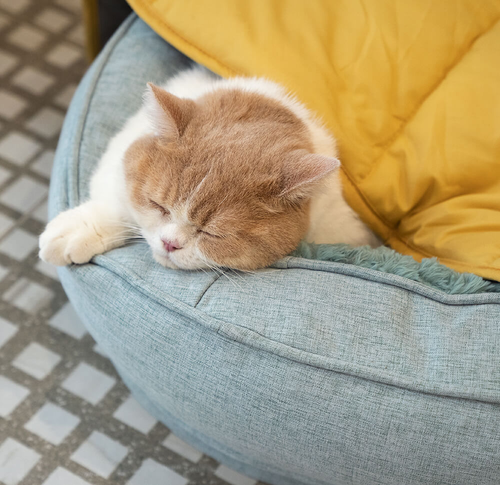Dog Blanket Mat for Large Pets