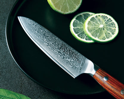 5" Damascus Utility Knife