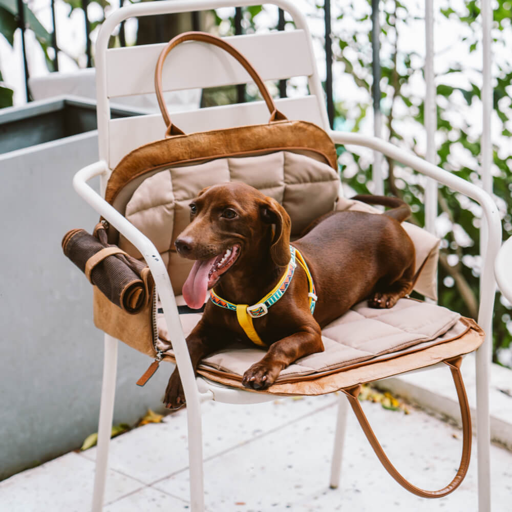 Pet Travel Bag Car Seat Carrier Eco Friendly