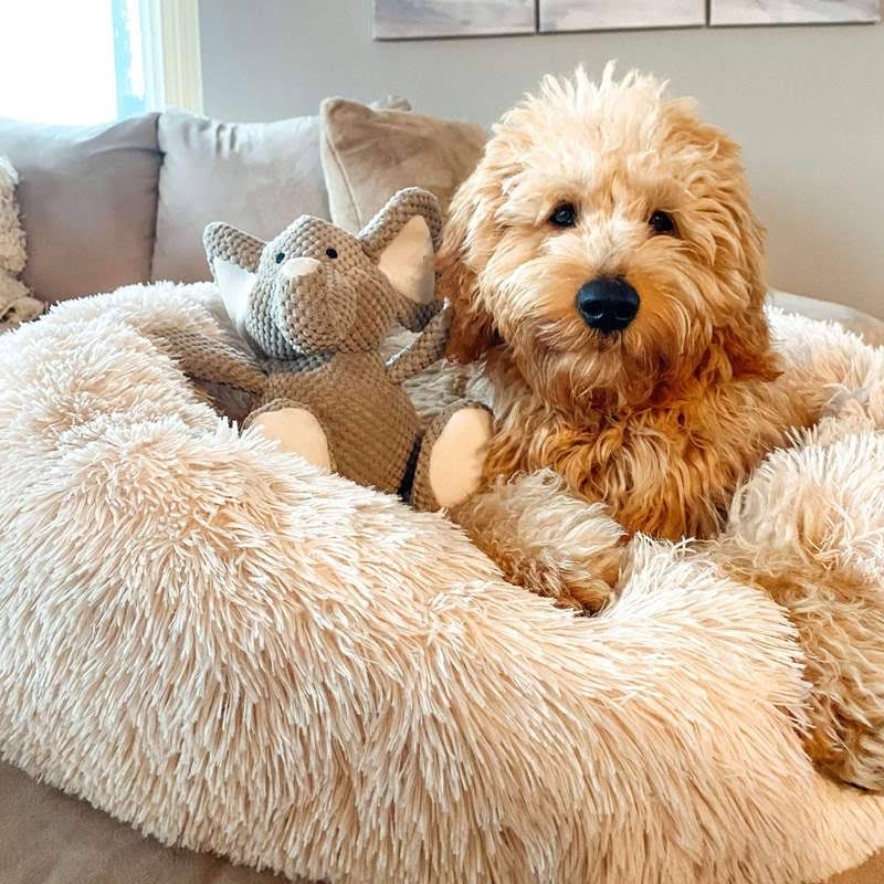 Dog Bed Orthopaedic Plush Round Calming Nest