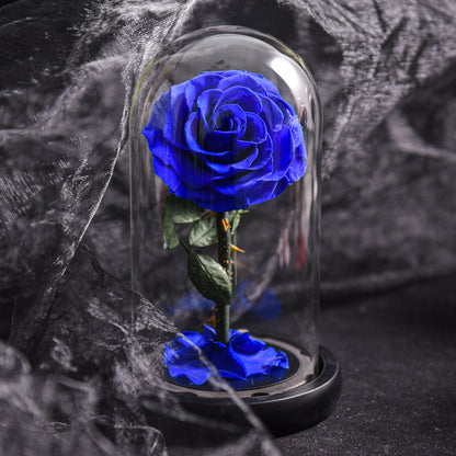 Preserved Rose Glass Dome Romantic Gift Decor