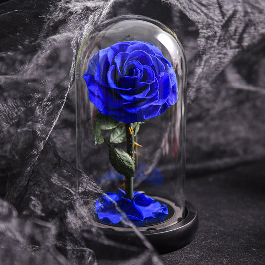 Preserved Rose Glass Dome Romantic Gift Decor
