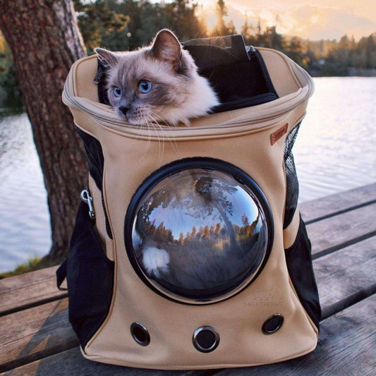 Pet Carrier Backpack with Bubble Window Design