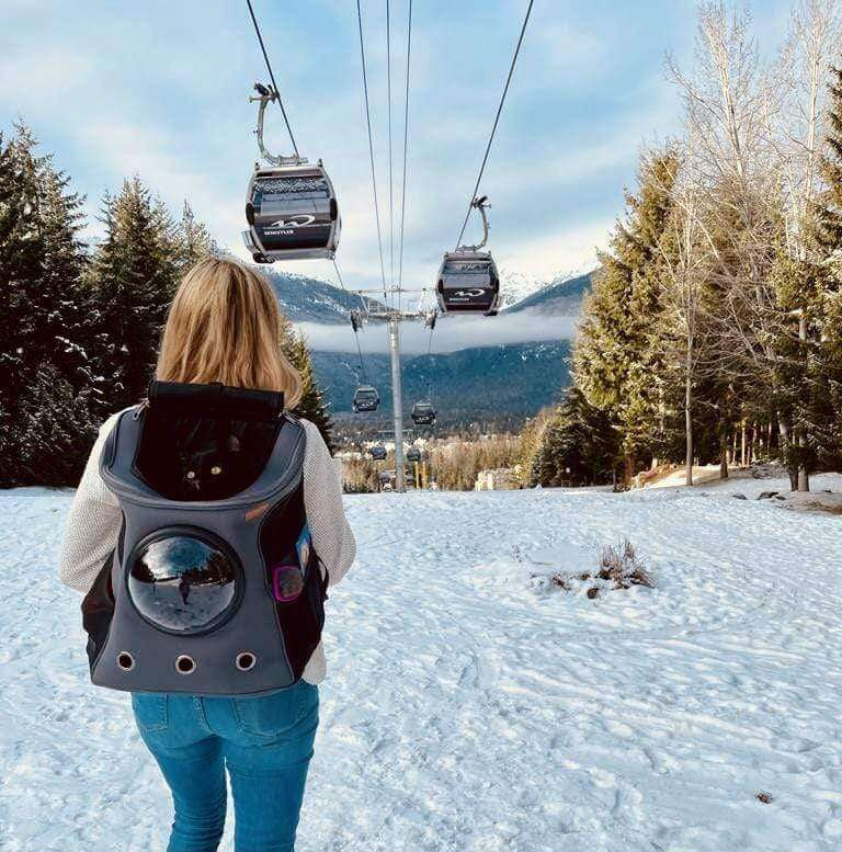 Pet Carrier Backpack with Bubble Window Design